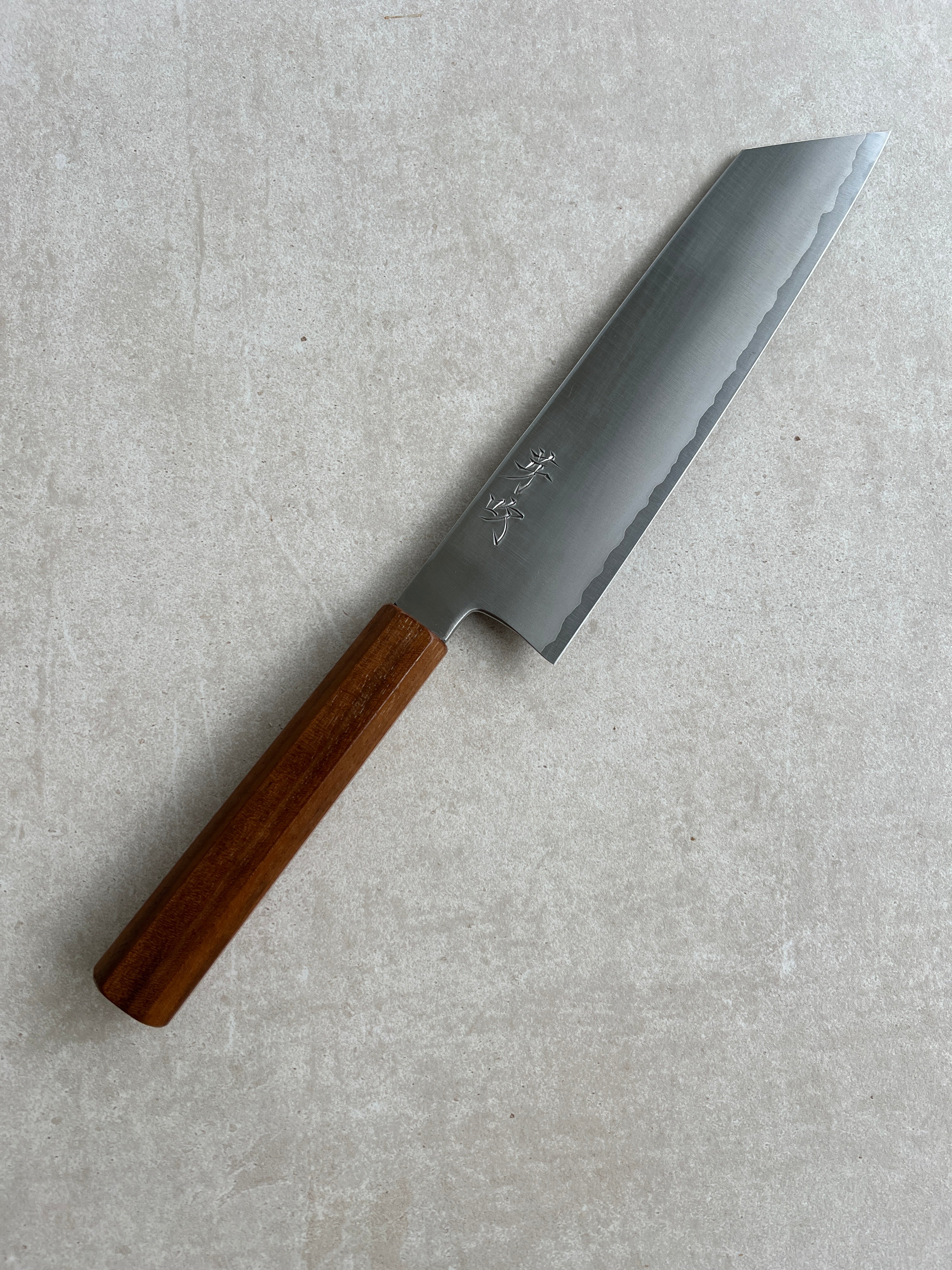 Gyuto K-tip 215 mm Shirogami #1 stainless clad - Amerikansk Valnød