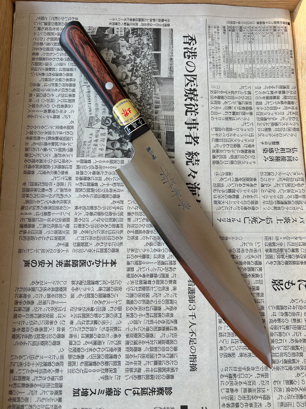 Fujii Gyuto 210 mm Aogami #2 stainless clad - Pakka