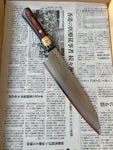 Fujii Gyuto 210 mm Aogami #2 stainless clad - Pakka