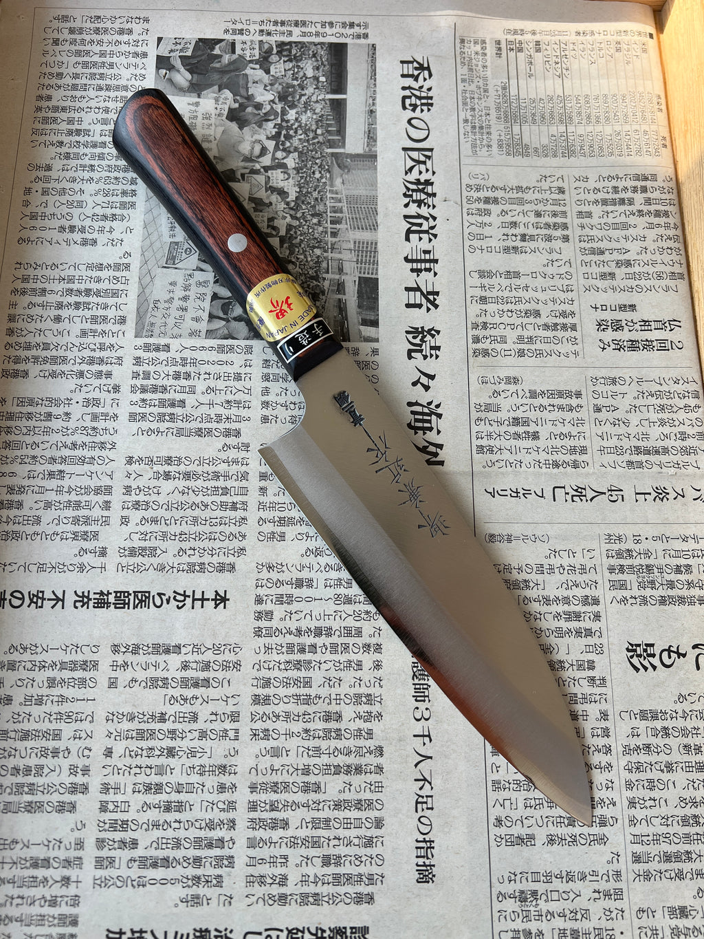 Fujii Bunka 160 mm Aogami #2 stainless clad - Pakka