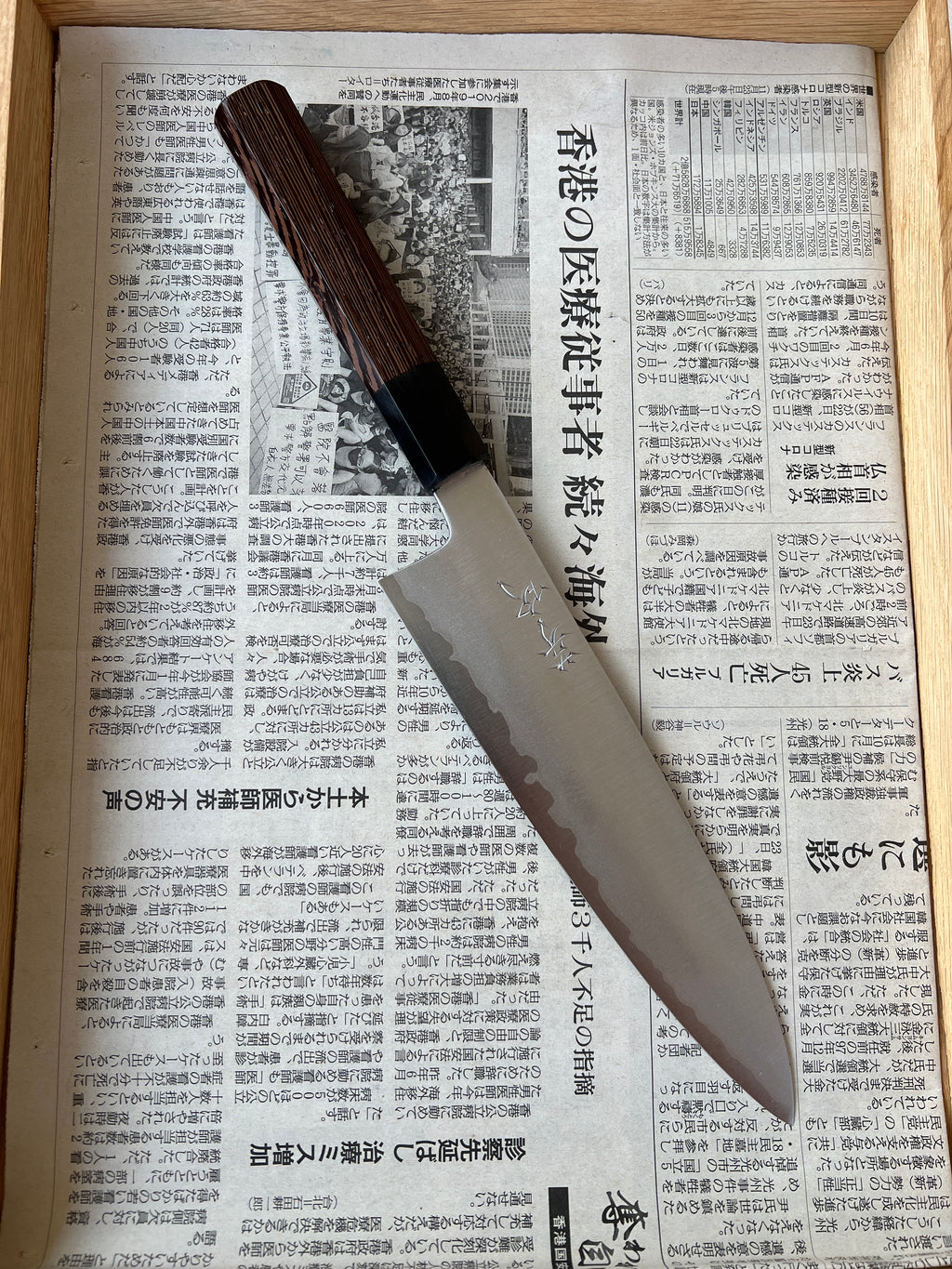 Gyuto 210 mm Shirogami #1 stainless clad - Bøffelhorn og Wengé