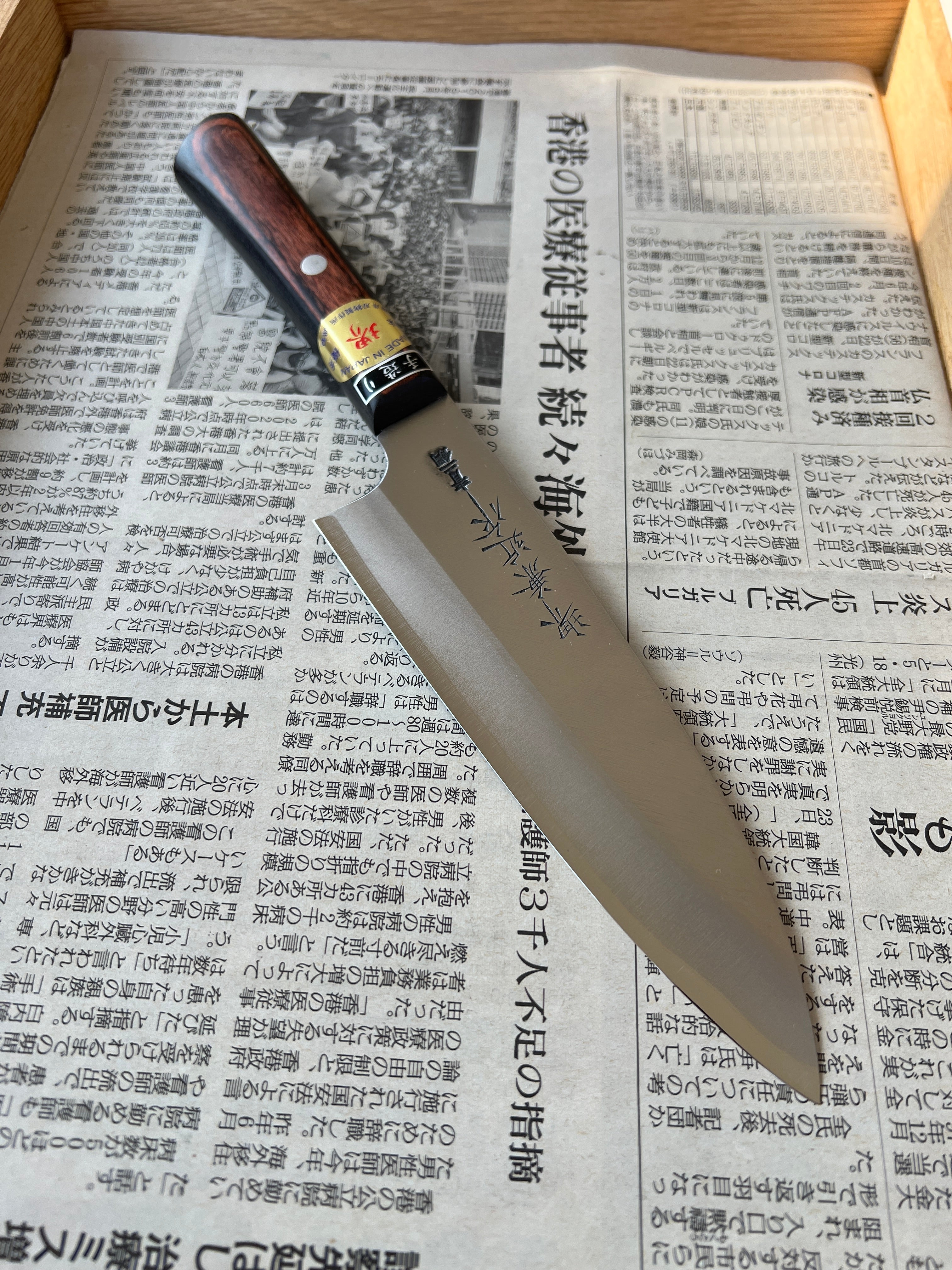 Fujii Bunka 160 mm Aogami #2 stainless clad - Pakka